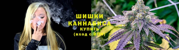 винт Абаза