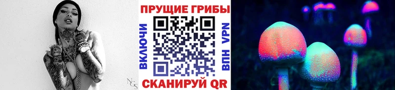 Псилоцибиновые грибы Magic Shrooms  Курск 