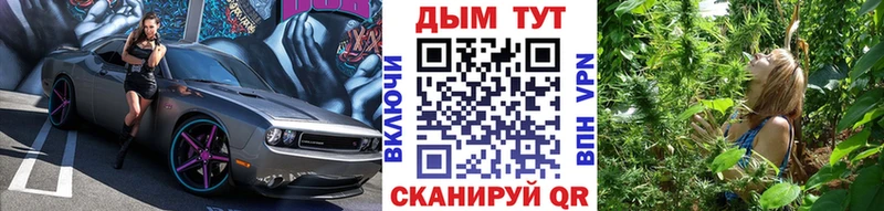 ОМГ ОМГ зеркало Курск МАРИХУАНА семена
